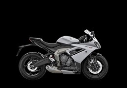 Neumotorrad Triumph Daytona 660