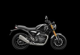Neumotorrad Triumph Speed 400