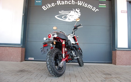 Gebrauchtmotorrad Honda Monkey 125 - Bild 6