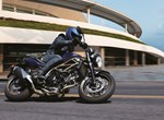 Angebot Suzuki SV650