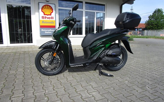 Neufahrzeug Honda SH125 - Bild 2