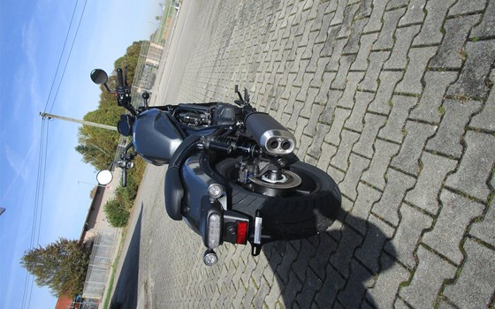 Neufahrzeug Honda CMX1100 Rebel DCT - Bild 3