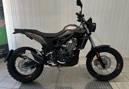 Neumotorrad Beta Alp X