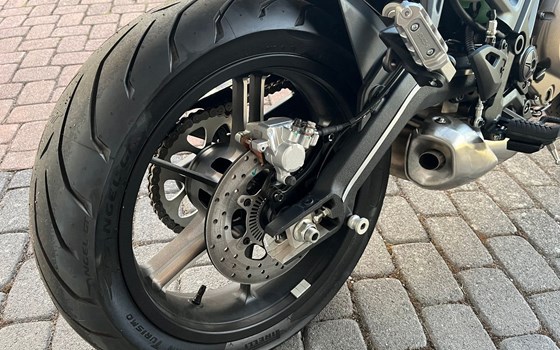 Neufahrzeug QJ Motor SRK 700 - Bild 14