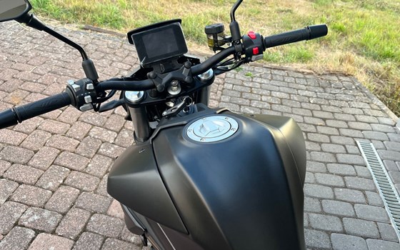 Neufahrzeug QJ Motor SRK 700 - Bild 9