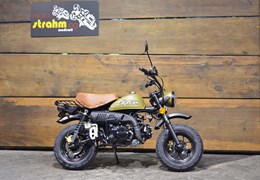 Neumotorrad Skyteam SkyMini 125