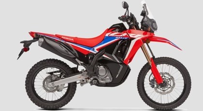 Neumotorrad Honda CRF300 Rally