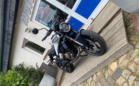 Gebrauchtmotorrad Husqvarna Vitpilen 401 - Bild 7