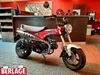 Honda   Dax 125 13