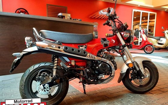 Neufahrzeug Honda Dax 125 - Bild 2