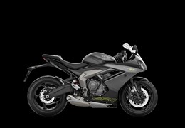 Neumotorrad Triumph Daytona 660