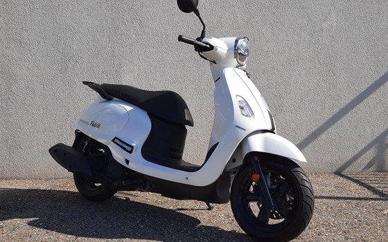 Neufahrzeug Sym Fiddle 50 - Bild 1