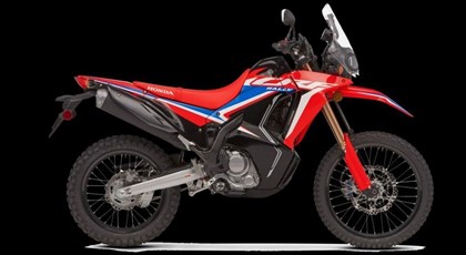 Neumotorrad Honda CRF300 Rally