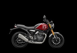 Neumotorrad Triumph Speed 400