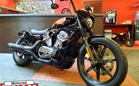 Neufahrzeug Harley-Davidson Nightster - Bild 1