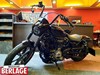 Harley-Davidson Nightster 24 Click for Detail