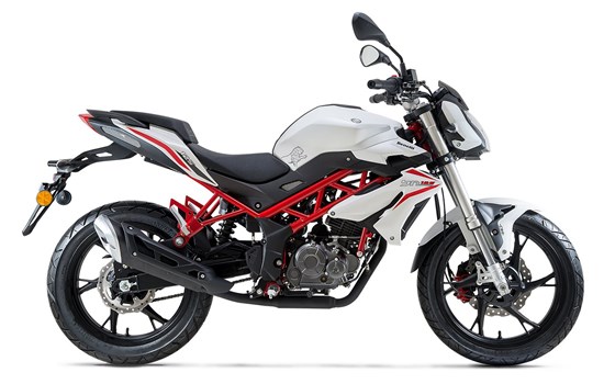 Neufahrzeug Benelli BN 125 - Bild 2 Neufahrzeug Benelli BN 125 - Bild 2