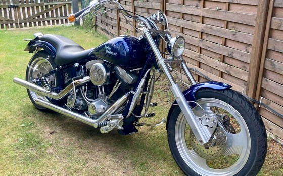 Gebrauchtmotorrad Harley-Davidson Softail Standard FXST - Bild 2