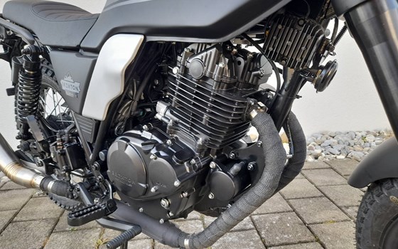 Neufahrzeug Brixton Felsberg 250 - Bild 6