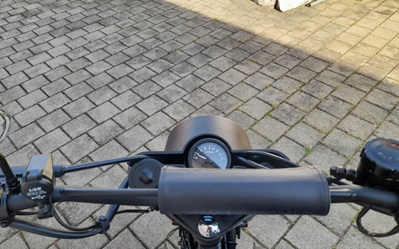 Neufahrzeug Brixton Felsberg 250 - Bild 8