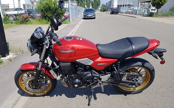 Neufahrzeug Kawasaki Z650 RS - Bild 3