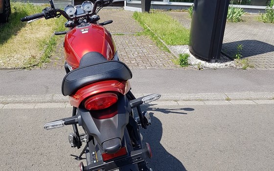 Neufahrzeug Kawasaki Z650 RS - Bild 4