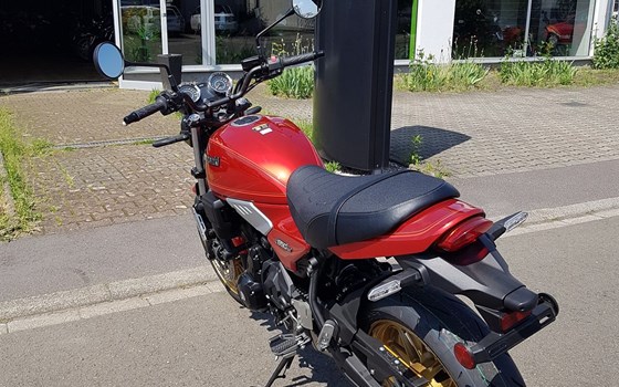Neufahrzeug Kawasaki Z650 RS - Bild 6