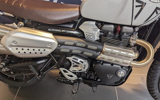 Gebrauchtmotorrad Triumph Scrambler 1200 X - Bild 4