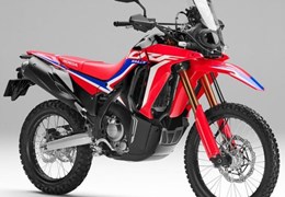Neumotorrad Honda CRF300 Rally