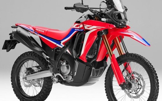 Neufahrzeug Honda CRF300 Rally - Bild 1