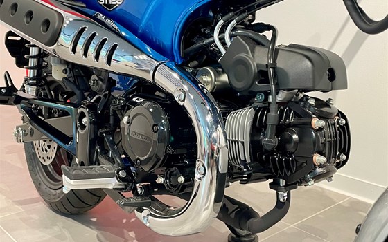 Neufahrzeug Honda Dax 125 - Bild 8