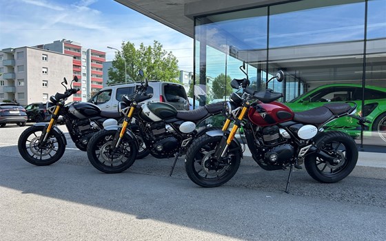 Neufahrzeug Triumph Scrambler 400 X - Bild 6 Neufahrzeug Triumph Scrambler 400 X - Bild 6