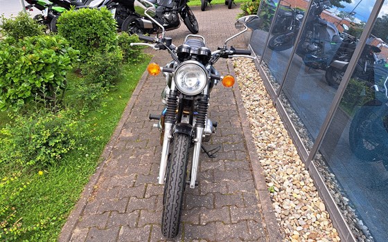Gebrauchtmotorrad Kawasaki W800 - Bild 2