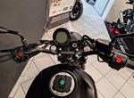 Angebot Kawasaki Eliminator 500