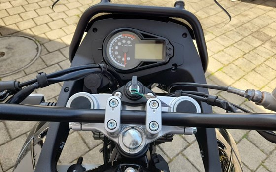 Neufahrzeug Malaguti Dune 125 X Black Edition - Bild 10