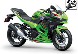 Neumotorrad Kawasaki Ninja 500 SE