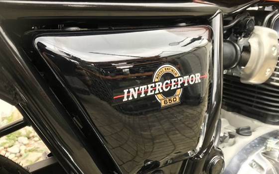 Neufahrzeug Royal Enfield Interceptor 650 - Bild 9