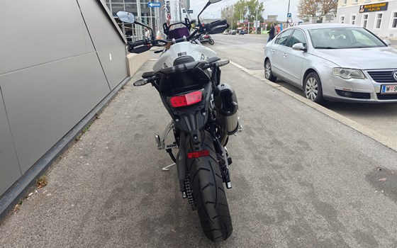 Neufahrzeug Triumph Tiger 900 GT Pro - Bild 5 Neufahrzeug Triumph Tiger 900 GT Pro - Bild 5