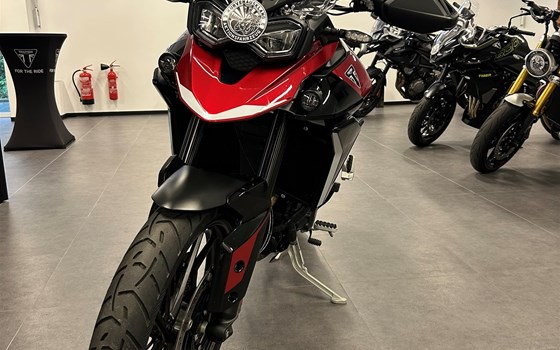 Gebrauchtmotorrad Triumph Tiger 900 GT Pro - Bild 4