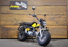 Occasion Skyteam T-Rex