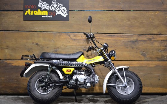 Motorrad Occasion Skyteam T-Rex - Bild 2