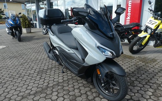 Neufahrzeug Honda Forza 125 - Bild 1