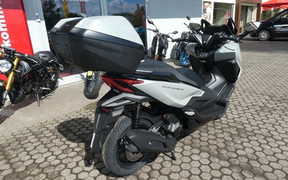 Neufahrzeug Honda Forza 125 - Bild 9