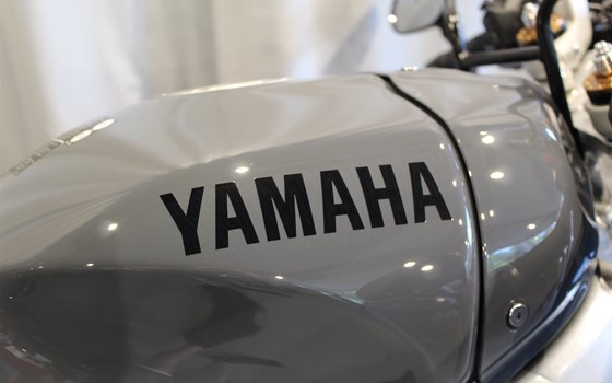 Neufahrzeug Yamaha XSR900 GP - Bild 3