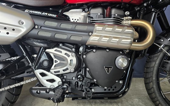 Neufahrzeug Triumph Scrambler 1200 X - Bild 3