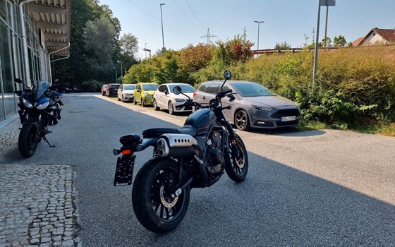 Neufahrzeug Honda CL500 - Bild 5