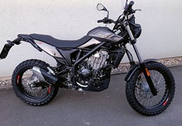 Neumotorrad Beta Alp X