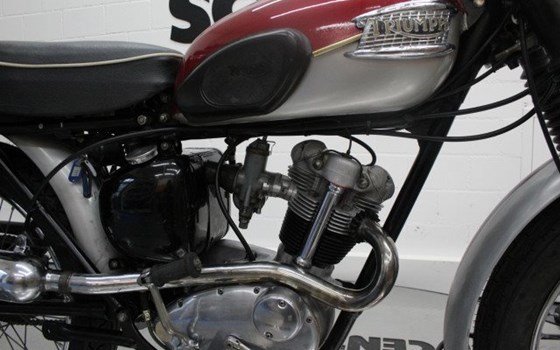 Motorrad Occasion Triumph Street Cup - Bild 9