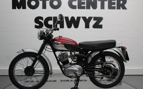 Motorrad Occasion Triumph Street Cup - Bild 6