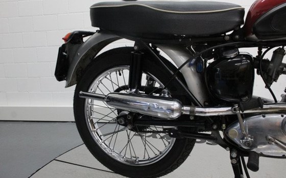 Motorrad Occasion Triumph Street Cup - Bild 10